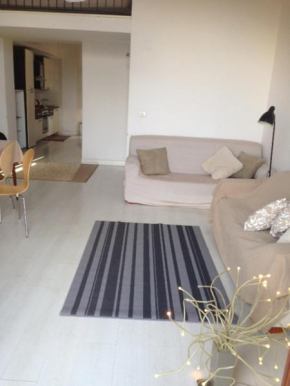 Big lightfull apartment with castle view